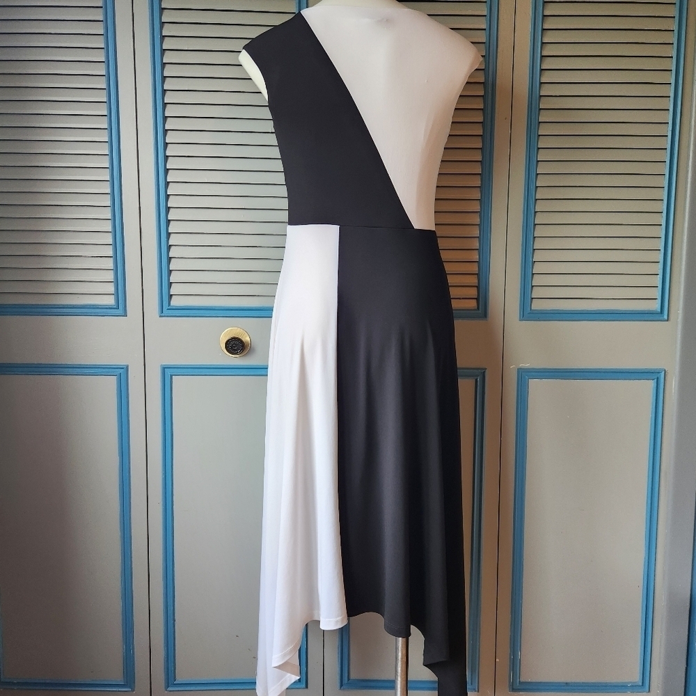 Roz & Ali Black & White Colorblock Dress - Picture 6 of 11